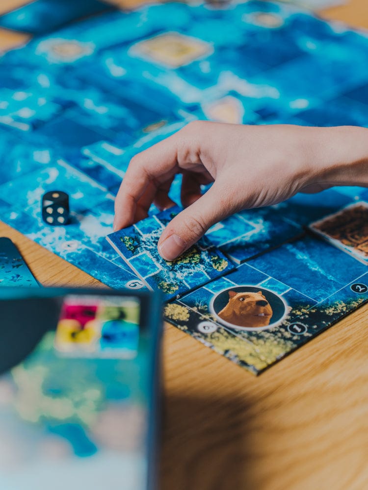 Flow - the board game