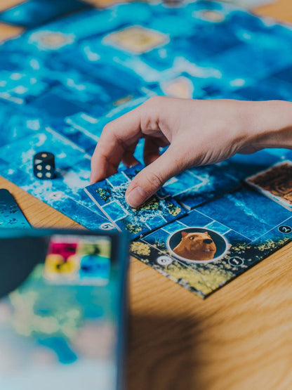Flow - the board game